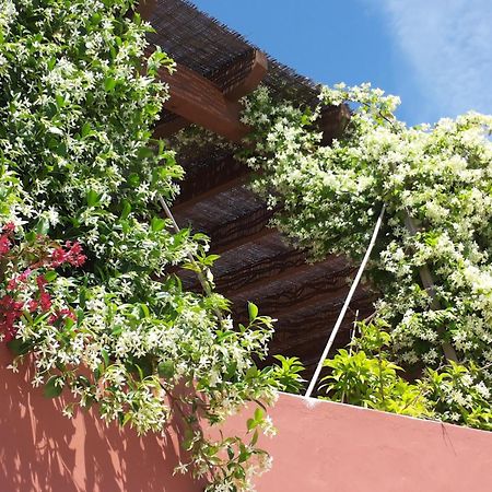 Bed and Breakfast Gato Preto de Silves - Adults Only Esterno foto